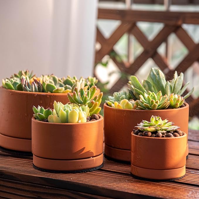D'vine Dev Set of 4 Terracotta Shallow Planter Pots for Succulent, 3 Inch 4 Inch 5 Inch 6 Inch, Small Flower Plant Pots with Drainage and Saucer, 40-Z-0