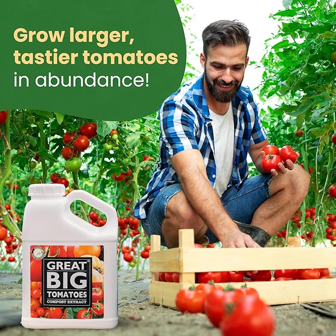 Great Big Tomatoes – Soil and Tomato Fertilizer Booster to Grow The Tastiest Tomatoes and Veggies; 2.5 Gallon Concentrate (Makes 80 Gallons)