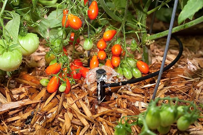 Rain Bird MUF-SPK4S Drip Irrigation Micro-Umbrella Bubbler on Stake, 360° Full Circle Pattern, 0-3' Spray Distance, 12-Pack