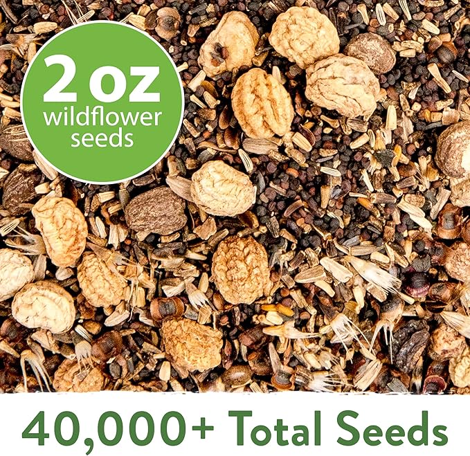 HOME GROWN Wildflower Seeds - 2oz Bulk Perennial Wild Flower Seeds Mix - Flower Garden Seeds for Attracting Bees, Birds & Butterflies - 24 Variety Plant Seeds for Planting Outdoor Garden