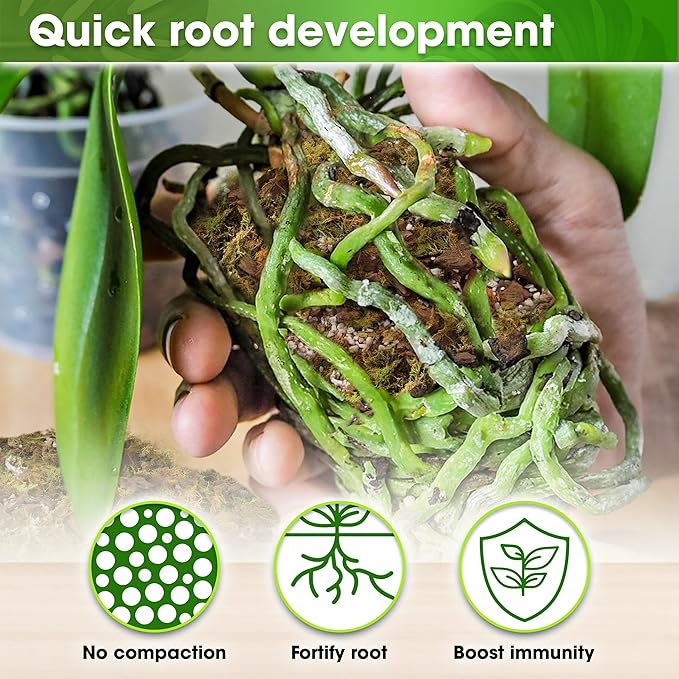 DUSPRO Orchid Potting Mix for Repotting with Moss Pine Bark Mulch Perlite Stone & Coco Peat Natural Ingredients, Orchid Bark Potting Mix, Orchid Repotting Kit Drainage Indoor Potting Medium Great 1QT