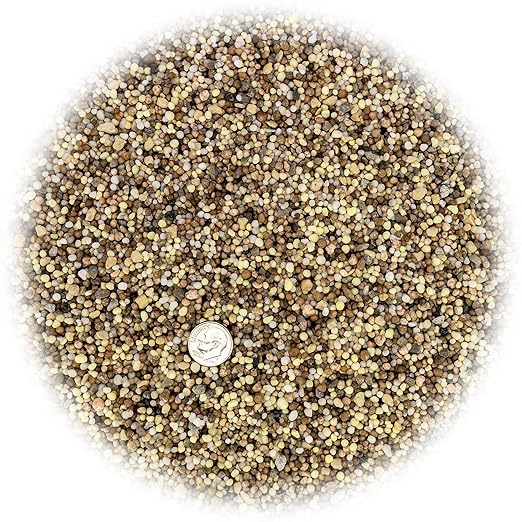 Premium 13-3-13 All-Season Fast Acting Landscape and Ornamental Fertilizer by Gardenera - Promotes Biomass Growth and Vibrant Leaf Color - 1/2 Quart