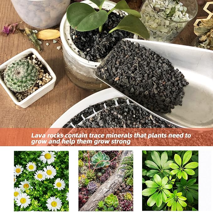 Black Lava Rocks for Plants Decorative Landscaping Plants Top Dressing for Cacti, Succulents Bonsai Plant Drainage Gravel, 3LB
