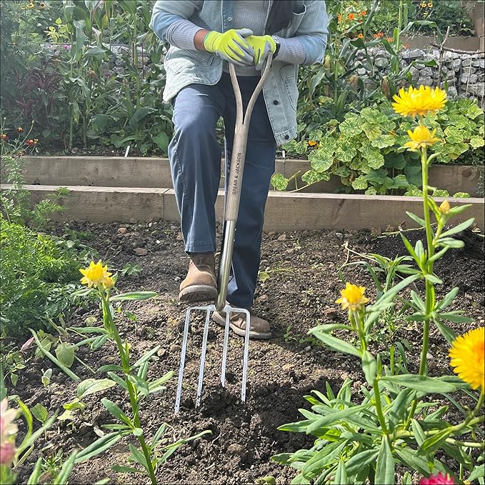 Spear & Jackson 4550DF Traditional Stainless Digging Fork,