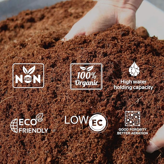 6 Pack Premium Coco Coir Brick for Plants | 100% Organic Compressed Coconut Coir Bricks Starting Mix, Coco Coir Fiber Coconut Husk for Planting, Gardening, Potting Soil Substrate, Herbs, 1.4 LB/Brick