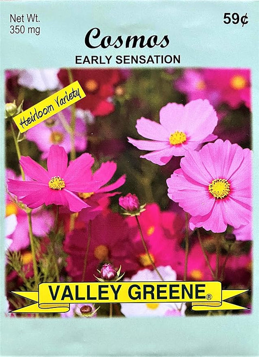 Set of Flower Seed Packets! Flower Seeds in Bulk - Great for Creating The Garden of Your Dreams! (100, Cosmos - Early Sensation)