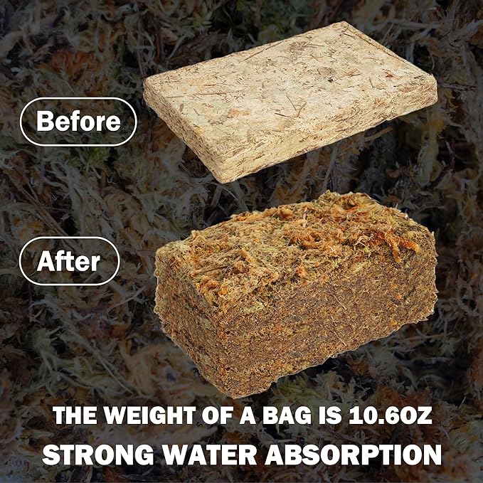 Hourleey 10.6 oz Sphagnum Moss for Plants, Premium Natural Long Fibered Dried Moss Potting, Sphagnum Peat Moss Bulk for Orchids Succulent Carnivorous Potted Plant Reptiles Medium Sarracenia