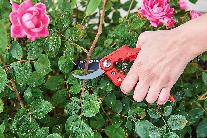 CRAFTSMAN CMXMKIT0170 Tree & Shrub Pruning Set with Bypass Pruning Shears, Bypass Lopper and Folding Pruning Saw