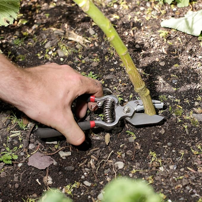 Spear & Jackson CUTTINGSET8 Traditional Bypass & Anvil Pruner/Secateur Set