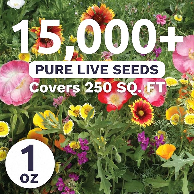 Southwest Regional Mix - Large 1 Ounce Packet - 15,000 Flower Seeds for Planting - Wildflower Mix