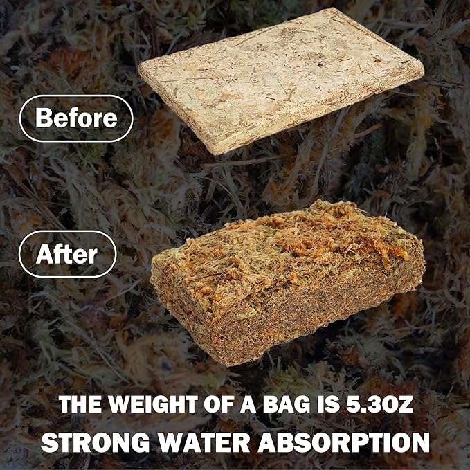 Hourleey 5.3 oz Sphagnum Moss for Plants, Premium Natural Long Fibered Dried Moss Potting, Sphagnum Peat Moss Bulk for Orchids Succulent Carnivorous Potted Plant Reptiles Medium Sarracenia