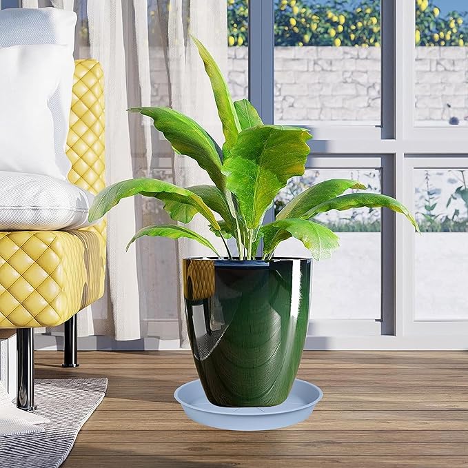 6 Pack of Plant Saucer Tray 4 6 8 10 12 14 17 19 22 25 inch, Heavy Duty Plastic Pot Plant Drip Trays Saucers for for Indoors Outdoor, Plant Water Tray for Planters 3-5" (4", Light Gray)