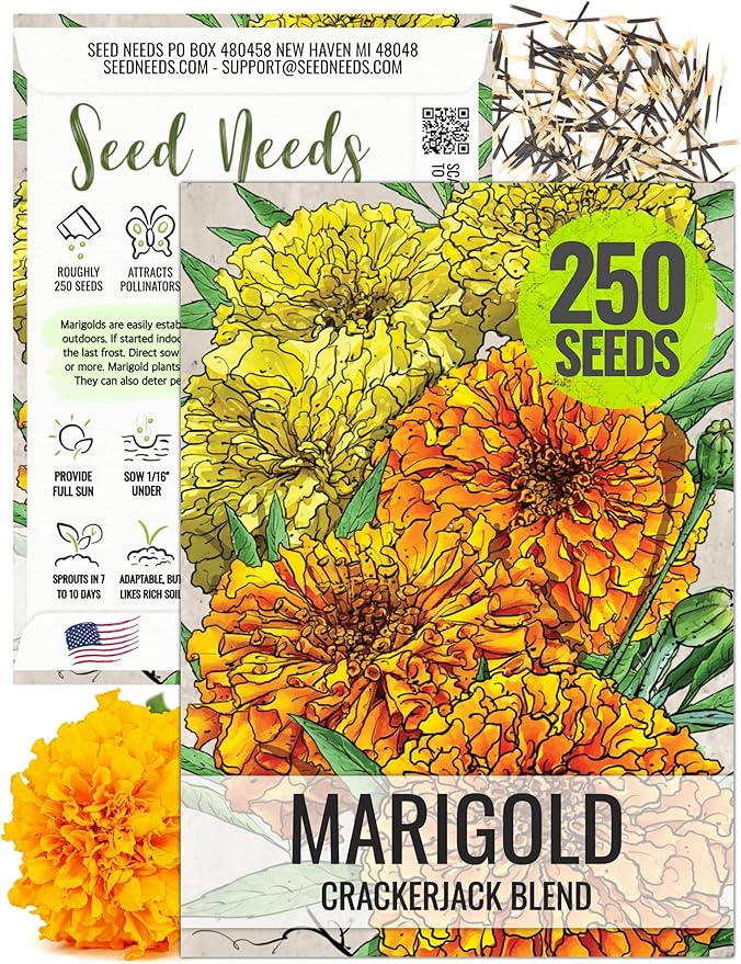 Seed Needs Crackerjack Marigold Seeds for Planting - Heirloom & Open Pollinated Annual Flowers - Plant a Butterfly Garden to Attract Pollinators (1 Pack)