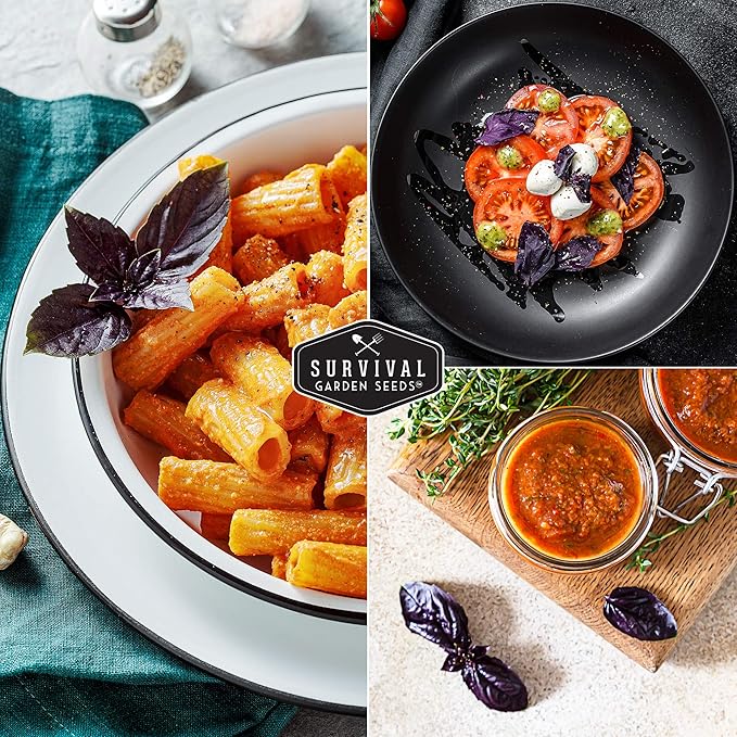 Survival Garden Seeds - Opal Basil Seed for Planting - 2 Packs with Instructions to Plant and Grow Delicious & Unique Purple Basil Herb Plants in Your Home Vegetable Garden - Non-GMO Heirloom Variety