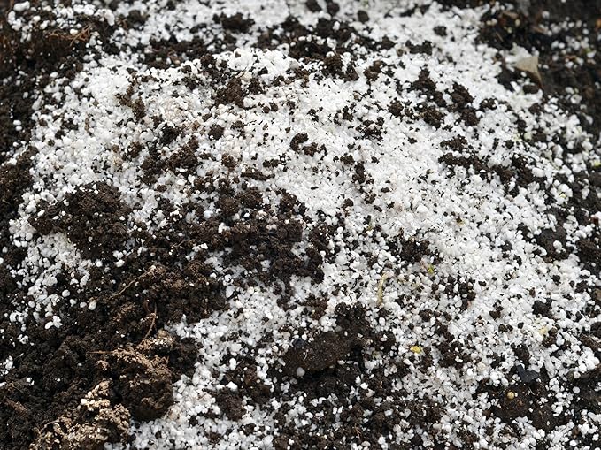 Palmetto Vermiculite Company 4 Cubic Foot Planting Soil Additive (Perlite)