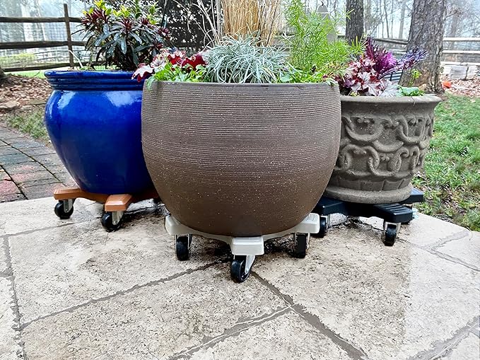 Bosmere S18410LVC Plant Caddie, 16", Charcoal