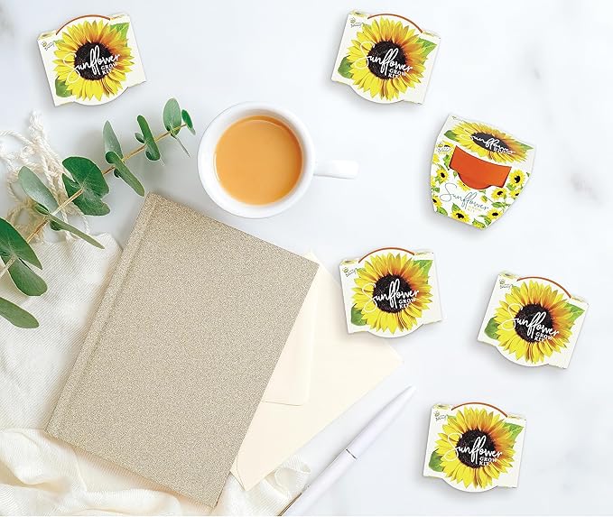 BUZZY Seeds Terracotta Mini Grow Pots | Herb, Plant, Flower Starter Kit for Kids & Adults | Mini Sunflower 6-Pack, Daydream Collection | Guaranteed to Grow | Best Indoor-Outdoor Gardening Gift