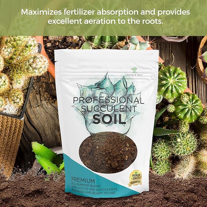 Large Bag Succulent Soil Premium All Purpose Blend | Pre-Mixed Ready to Use for Cactus and Succulents | Canadian Peat, Course Sand, Pinebark | Extra Large 8.2 Quarts | Made in USA