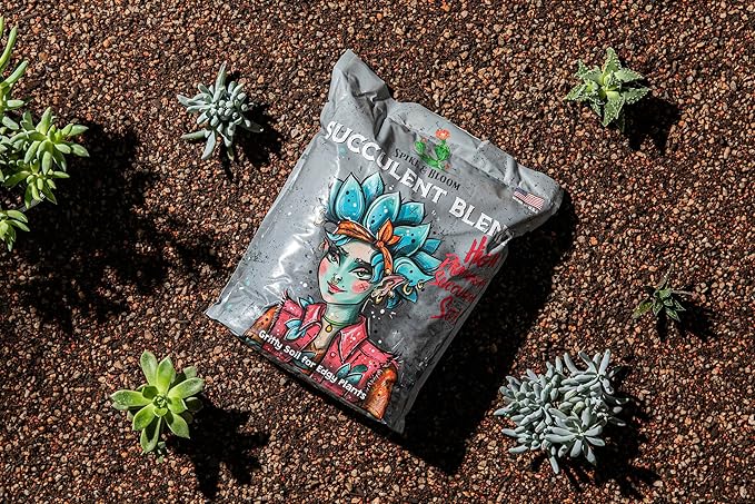 High Drainage Succulent Soil Potting Mix with Coffee Compost & Mycorrhizhal Fungi - 4 Dry Quarts - Slighly Acidic, Gritty Soil for Edgy Plants - Spike & Bloom