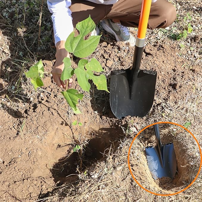 Shovel for Digging, 56 Inches Heavy Duty Shovel for Gardening, Round Shovel for Digging with Fiberglass Handle (Orange)