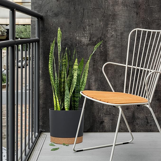 kubvici Plant Pots for Indoor Plants, 2 Pack 10 Inch Plant Pot Plastic Flower Pots Planters with Drainage Saucer for Indoor Outdoor Garden Home (10" Black)