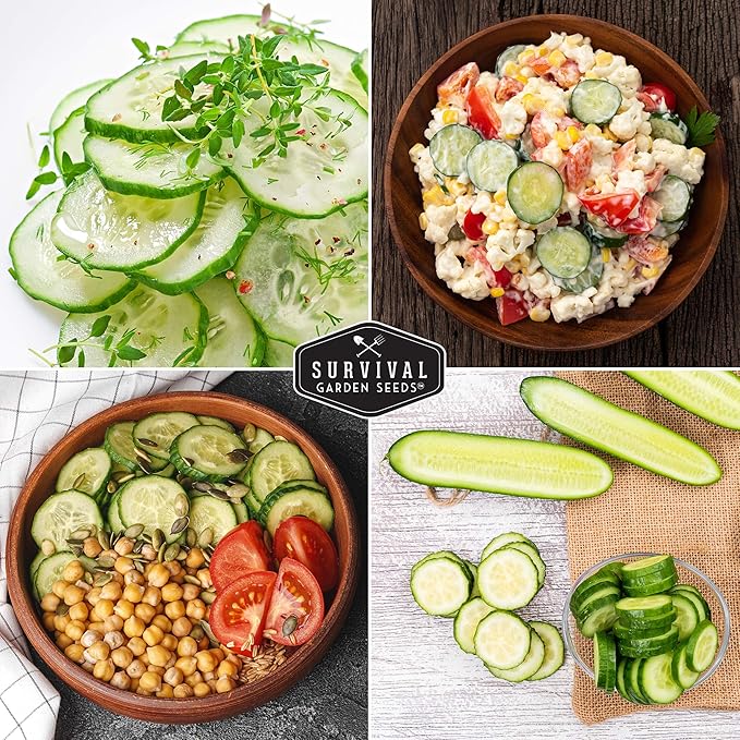 Survival Garden Seeds - Beit Alpha Cucumber Seed for Planting - Pack with Instructions to Plant and Grow Smooth Green Burpless Cucumbers in Your Home Vegetable Garden - Non-GMO Heirloom Variety - 3