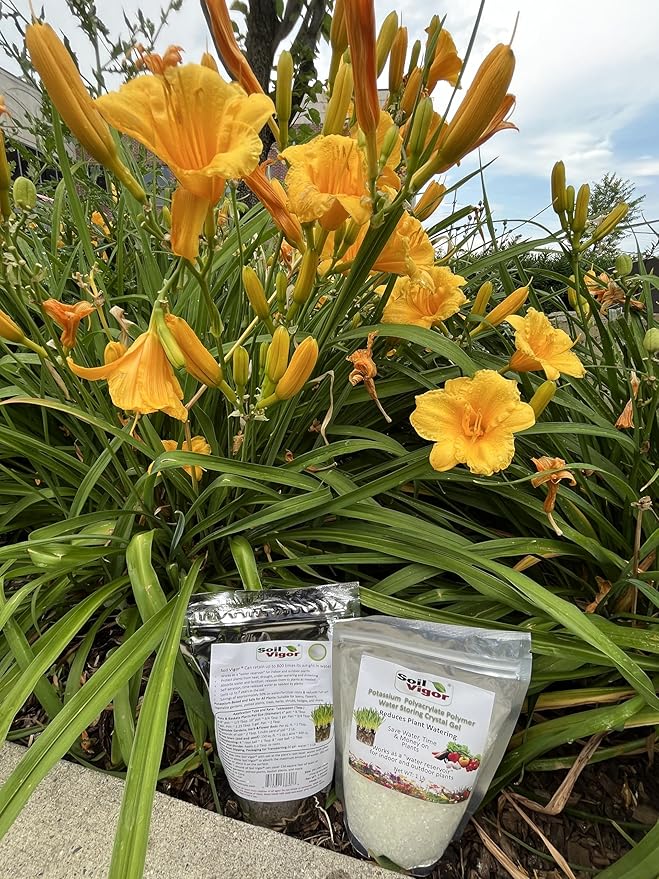 Potassium Polyacrylate for Garden Lasts Up to 7 Years in Soil (5)