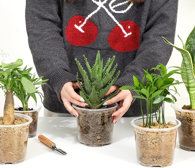 60 Pack 4/5/6 Inch Clear Nursery Pots with Drainage Holes, Transparent Plastic Pots for Plants, Reinforced Seed Starter Pots Flower Pots Come with 50pcs Plant Labels