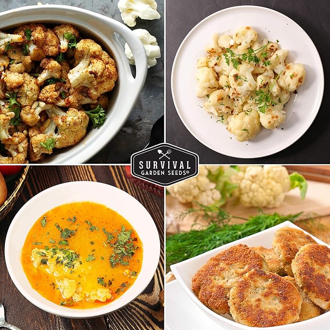 Snowball Cauliflower Seed for Planting - Packet with Instructions to Plant & Grow Amazing White Vegetables in Your Home Vegetable Garden - Non-GMO Heirloom Variety - Survival Garden Seeds