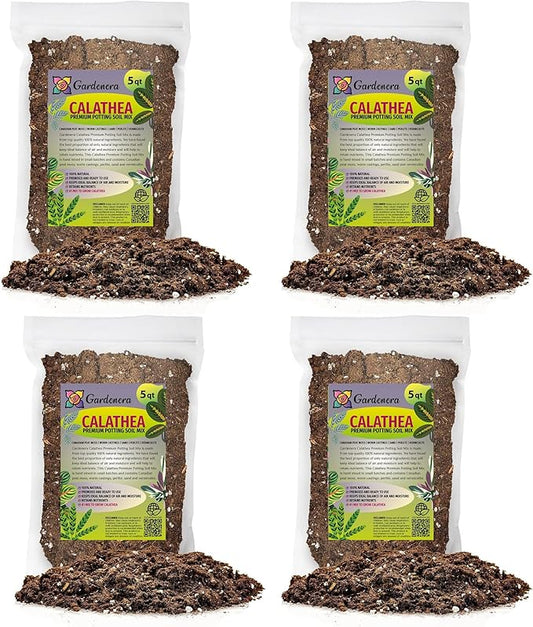 Calathea Plant Potting Mix - Elevate Your Space with a Premium Blend for Distinctive Foliage Patterns - 20 Quart