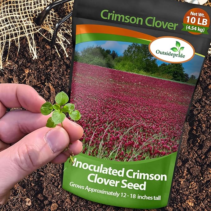Outsidepride Crimson Clover Seeds - 10 lbs. Annual, Nitrocoated, & Inoculated Ground Cover Seeds, Ideal Clover Seed for Lawn, Cover Crop, Pasture, Hay, Green Manure & Wildlife Forage