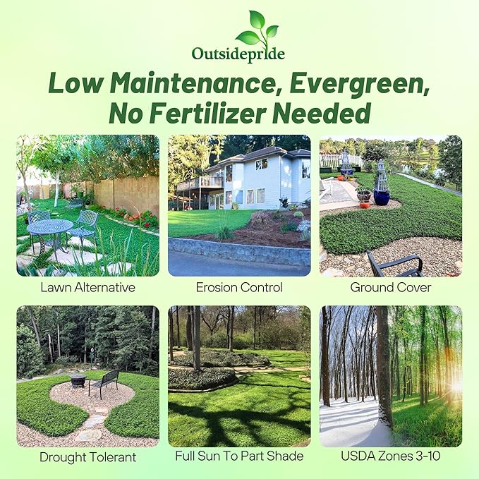 Outsidepride Perennial White MiniClover Seed - 2 lb. Dwarf, Small-Leaved, Drought & Wear-Tolerant Micro Clover Seeds for Lawn, Ideal Low-Maintenance & Easy to Grow Ground Cover Seeds for Home Yard