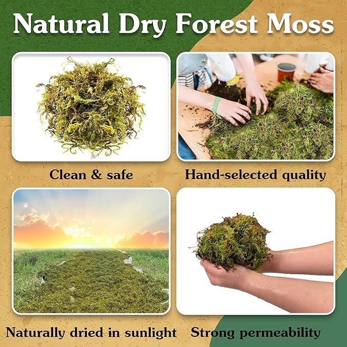 Natural Moss for Plants Indoor, Dried Moss for Potted Plants, Orchid Moss for Repotting, Forest Moss for Orchid Potting Mix, Decorative Moss Filler for Planters and Craft Moss (15oz)