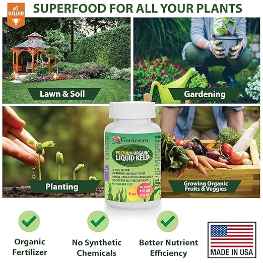 Organic Liquid Kelp Fertilizer - 1 Quart [32 oz] - Organic Plant Superfood for Gardening - Concentrated Kelp & Seaweed Extract for Gardens, Lawns, Plants & Soil