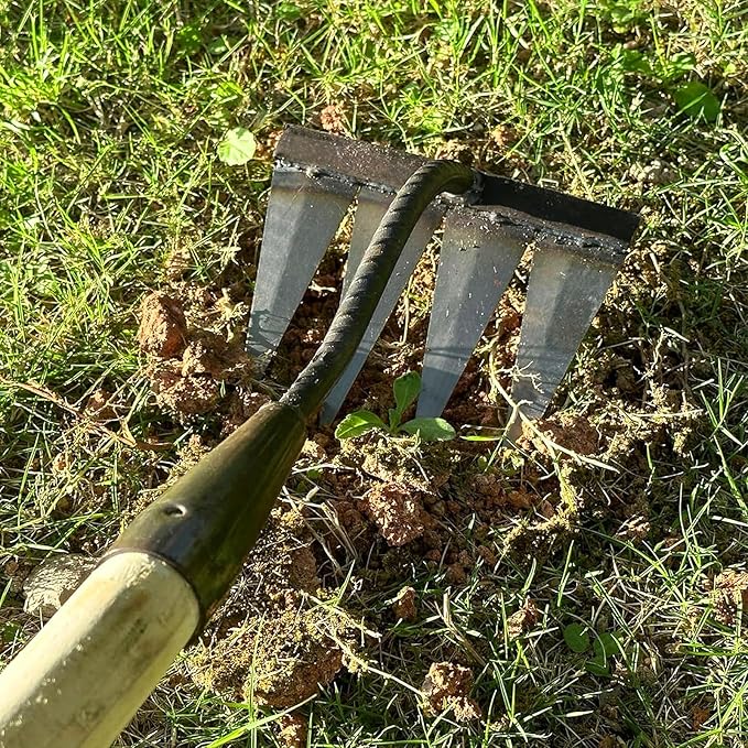 Iron Rake,4 Tines and 6 Tines Weeding Rake Tool,Carbon Garden Hand Rake Heavy Duty Weeding Rake Iron Hoe Rake,for Backyard Gardening Weeding Loosening Farm Planting.