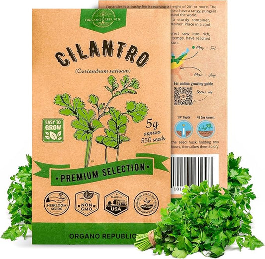 Cilantro Seeds Pack 5 G - Over 550 Non-GMO Heirloom Cilantro Seeds for Planting Herbs in Individual Seed Packet, Herb Seeds for Planting Home Garden Indoor & Outdoor Gardening