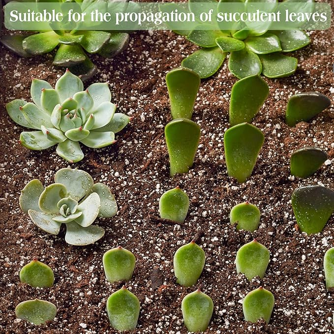 Halatool 10 QT Organic Aloe Plant Soil Potting Mix Garden Top Succulent Soil for Indoor & Outdoor Plants Bonsai Cactus Soil Potting Mix for Houseplants Flowers Vegetables & Herbs