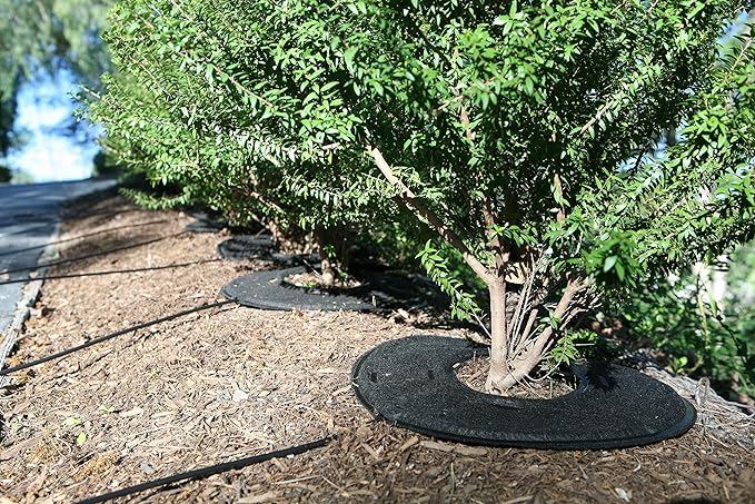 Raindrip RW16RE RootWise 360° Precision Plant Watering Pad for Plant & Tree Irrigation, 16 in. Watering Mat with Built-in Drip Tubing & Emitters,Watering Ring Connects to Drip Irrigation Systems,Black