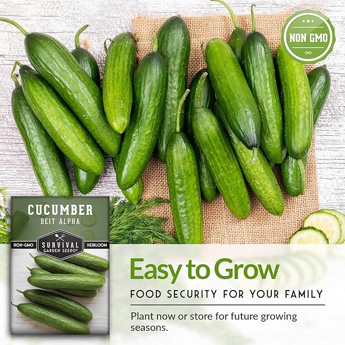 Survival Garden Seeds - Beit Alpha Cucumber Seed for Planting - Pack with Instructions to Plant and Grow Smooth Green Burpless Cucumbers in Your Home Vegetable Garden - Non-GMO Heirloom Variety - 3