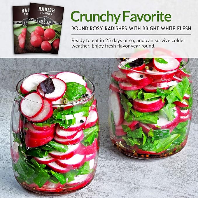 Survival Garden Seeds - Champion Radish Seed for Planting - Packet with Instructions to Plant and Grow Red Radishes in Your Home Vegetable Garden - Non-GMO Heirloom Variety Vegetable Seed