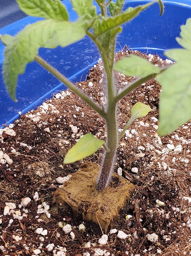 Voulosimi Horticultural Organic Perlite Soil Amendment for Plants and Enhanced Drainage Enhanced,Indoor & Outdoo (15QT, 1/4 inch)