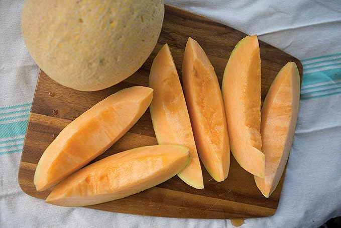 Burpee Aphrodite Cantaloupe Melon Seeds 25 seeds