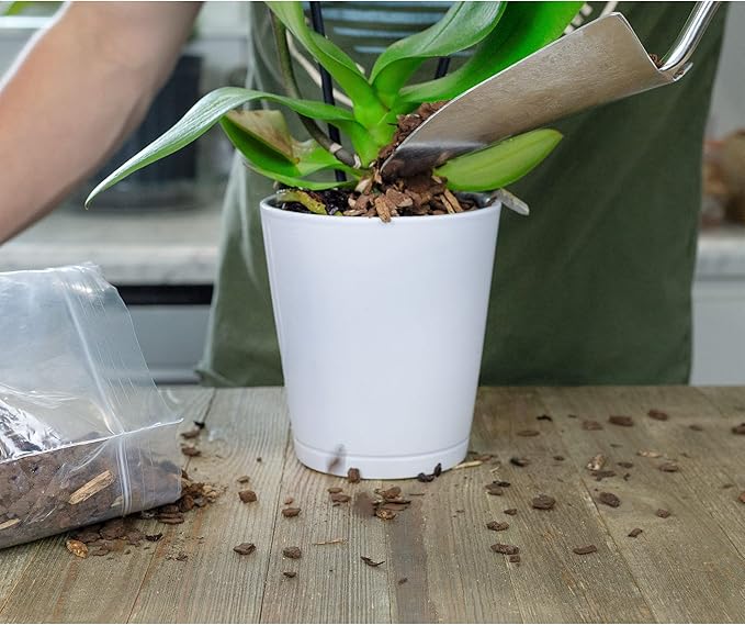 100% Natural Pine Bark Mulch Nuggets (4 Quarts), Small Mulch Chips for Indoor/Outdoor Container Gardening, Ideal for Soil Supplement, Houseplant Mulch