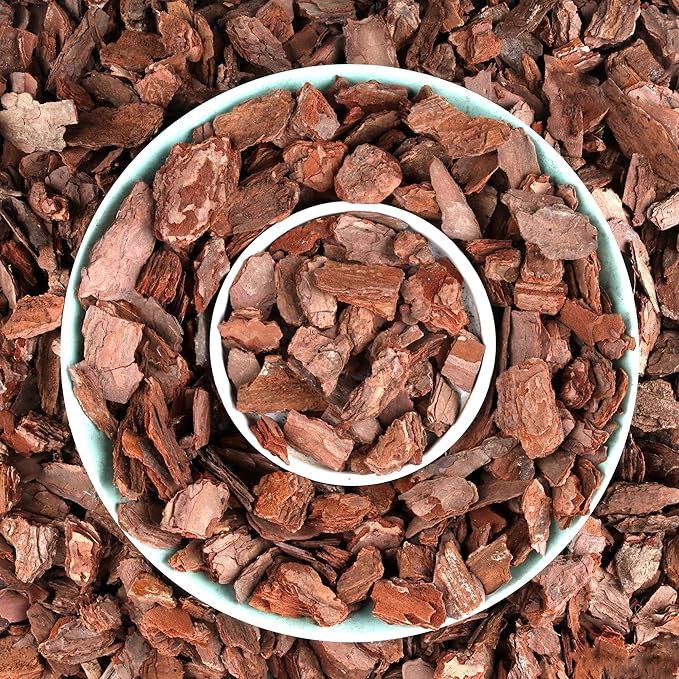 AVALUTION Orchid Potting Bark-3QT Organic Orchid Bark for Plants, All Natural Pine Bark Wood Chips for Houseplant Mulch, Orchid Plants Root Development, Mulch for Potted Plants