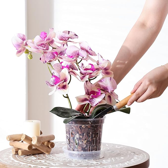 TRUEDAYS 6 Pack Orchid Pot with Saucers Garden Pot 5 Inch Clear Plastic Plant Pots with Drainage Holes for Indoor Outdoor Plants