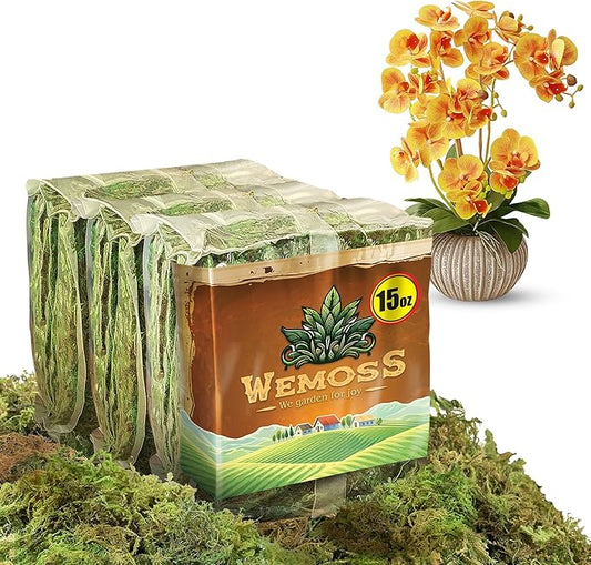 Natural Moss for Plants Indoor, Dried Moss for Potted Plants, Orchid Moss for Repotting, Forest Moss for Orchid Potting Mix, Decorative Moss Filler for Planters and Craft Moss (15oz)