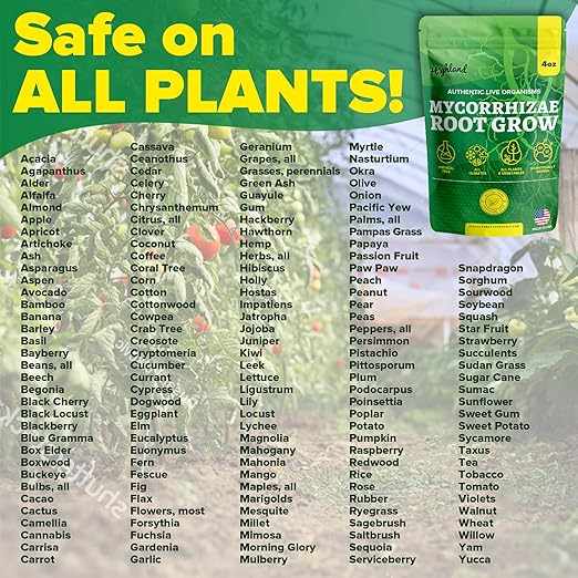 Mycorrhizal Fungi Root Grow All Natural Mycorrhizae for Plants Myco Ultra Soil Real Growers Plant Success Root Enhancer for Plants Microbes for Soil Mycorrhizal Inoculant Root Powder for Plants Soil