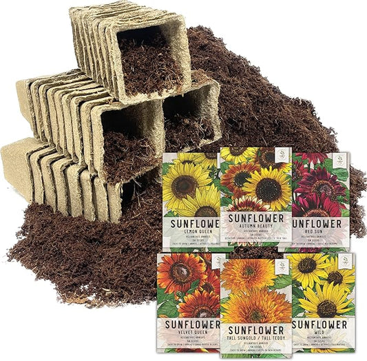 Seed Needs, Sunflower Seed Packet Collection Seed Starting Bundle (Includes 6 Individual Seed Packets, 36 Starter Pots & 1 Expandable Coco Coir Brick) Heirloom, Open Pollinated & Untreated
