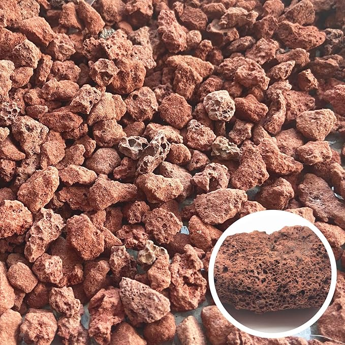 Red Lava Rocks for Plants -100% Pure Volcanic Rock No Dyes or Chemicals-Best Lava Stones Top Dressing for Cacti Succulents Plants,Bonsai-12LBS