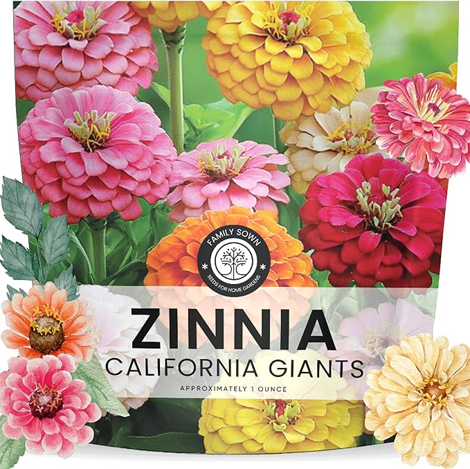 Zinnia California Giants - Large 1 Ounce Packet - 3,000 Flower Seeds for Planting - Zinnia elegans